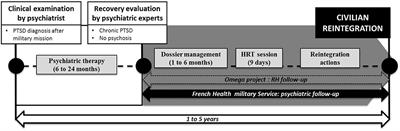 Challenges Associated With the Civilian Reintegration of Soldiers With Chronic PTSD: A New Approach Integrating Psychological Resources and Values in Action Reappropriation